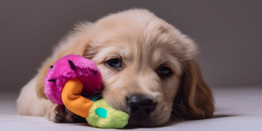Choosing the Right Chew Toys for Your Heavy-Chewing Dog