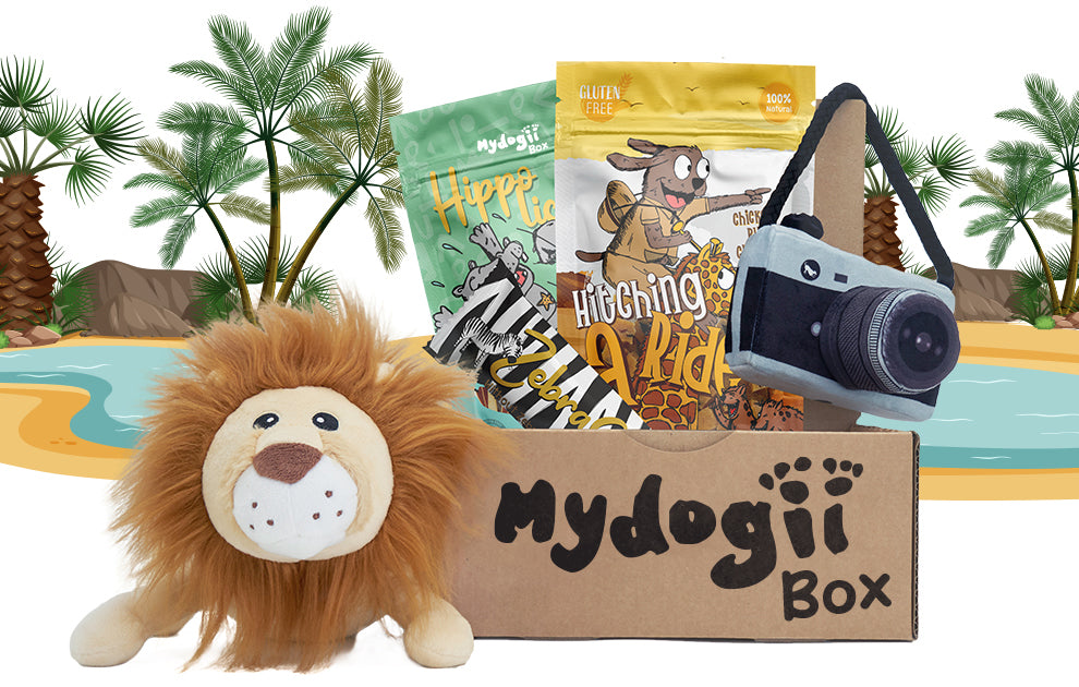 Get your monthly dog subscription box from MydogiiBox - Dog treats