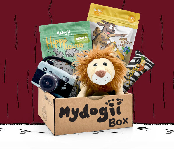 Get your monthly dog subscription box from MydogiiBox - Dog toys